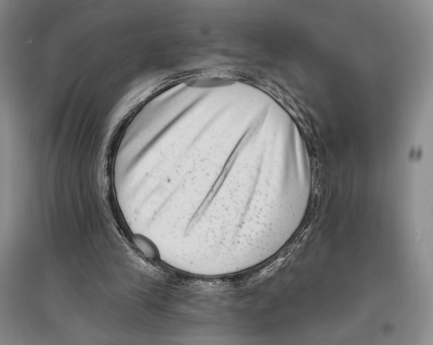 X0000097290245200803141516