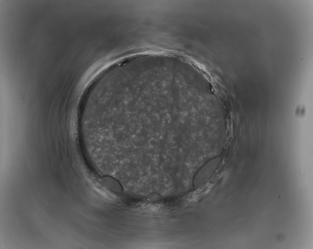 X0000097290247200803141517