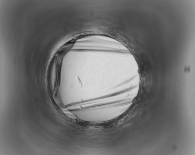 X0000097290248200803141517