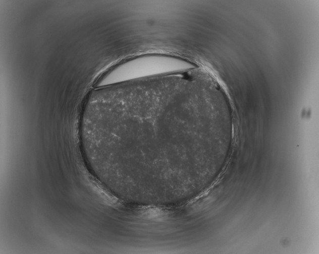 X0000097290249200803141517