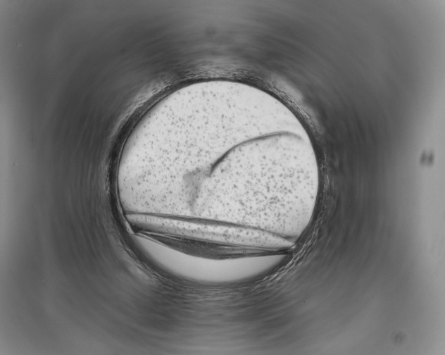 X0000097290250200803141517