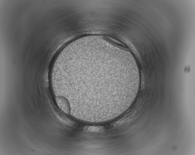 X0000097290251200803141517