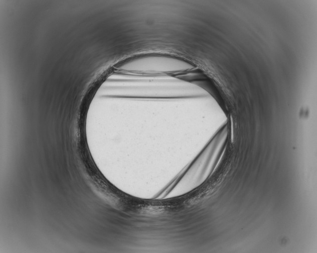 X0000097290252200803141517