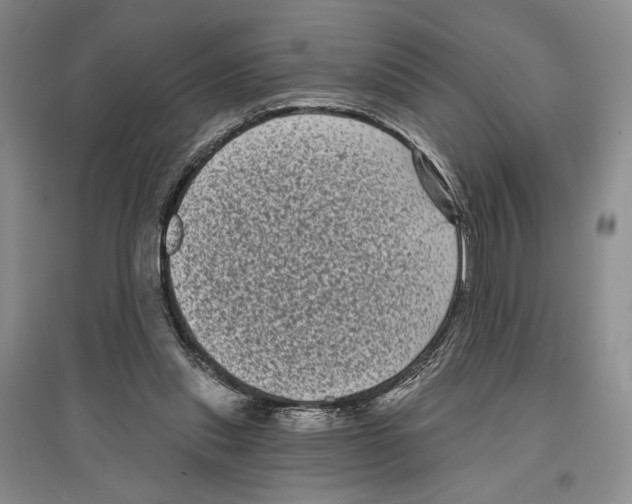 X0000097290253200803141517