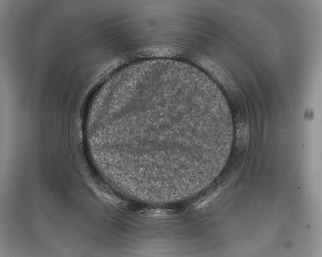 X0000097290254200803141517
