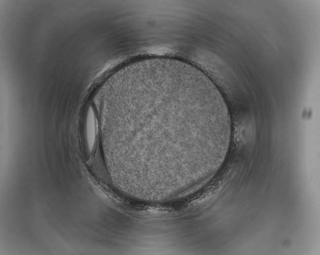 X0000097290256200803141517