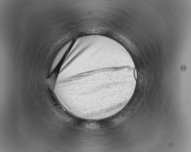 X0000097290258200803141517