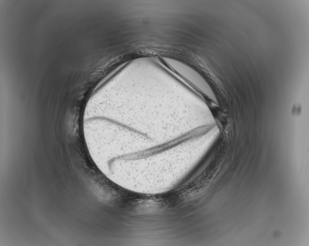 X0000097290259200803141517