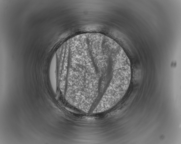 X0000097290260200803141517