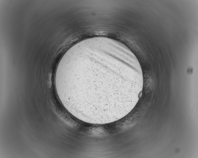 X0000097290262200803141517