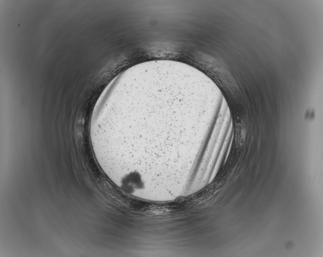 X0000097290263200803141517