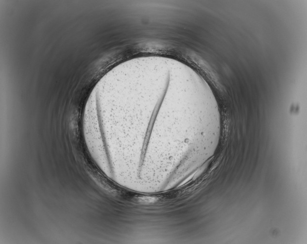 X0000097290265200803141517