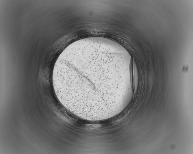 X0000097290266200803141517