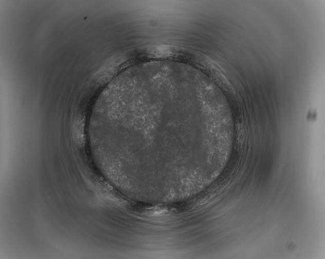X0000097290267200803141517