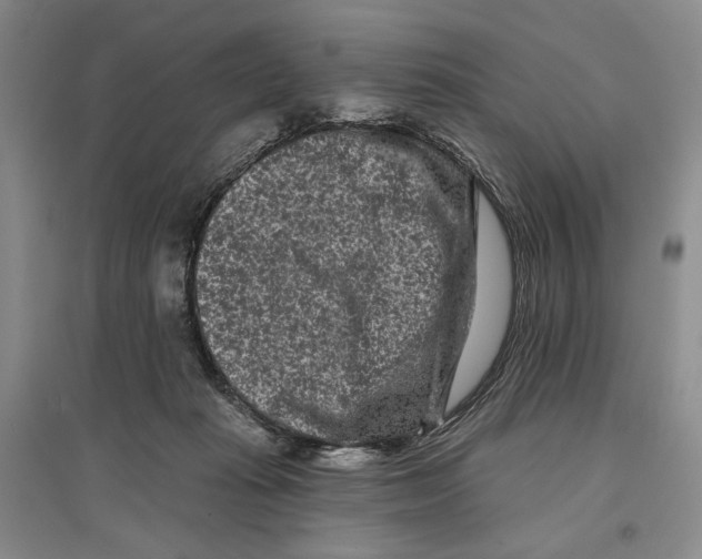 X0000097290269200803141517