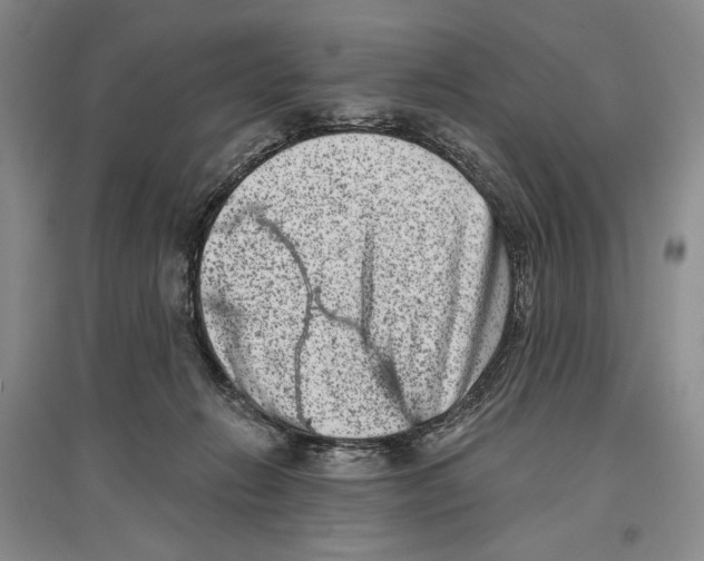 X0000097290270200803141517