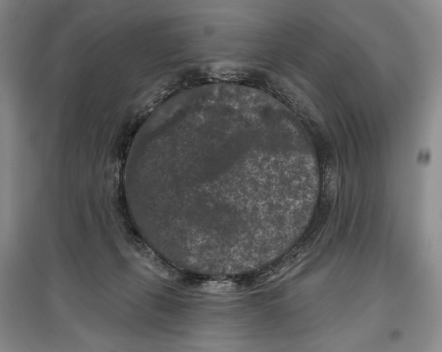 X0000097290271200803141517