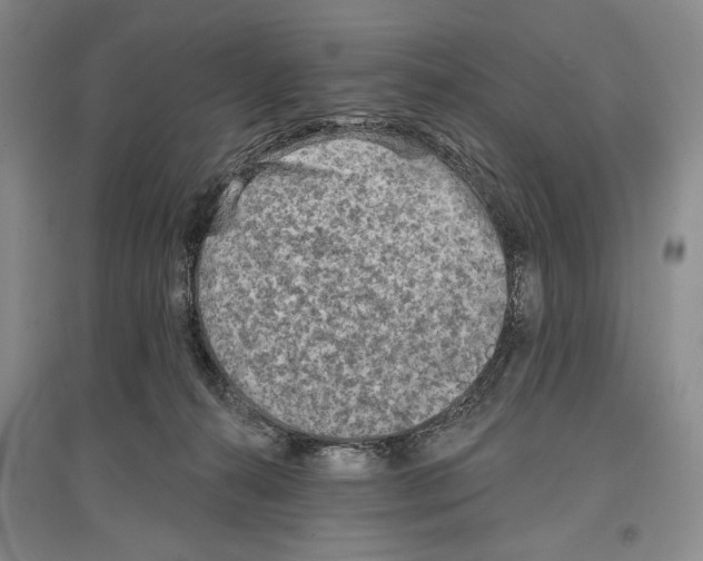 X0000097290272200803141517