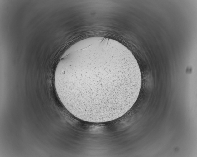 X0000097290274200803141517
