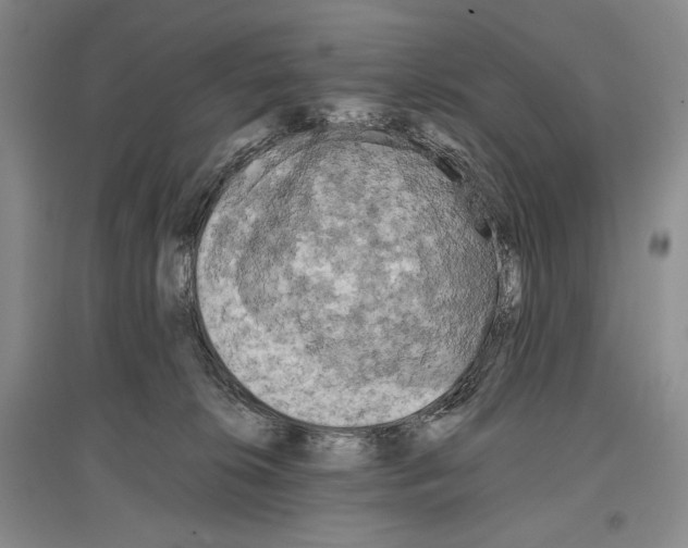 X0000097290276200803141517