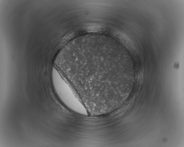 X0000097290277200803141517