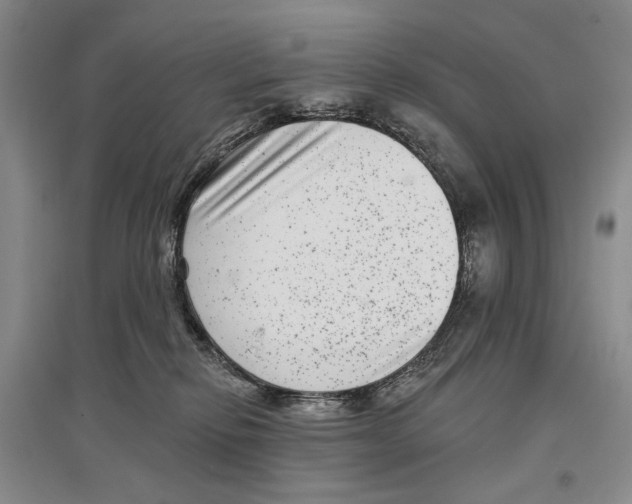 X0000097290278200803141517