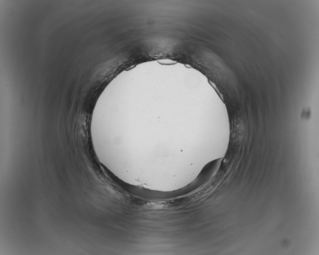 X0000097290280200803141517