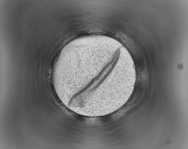 X0000097290281200803141517