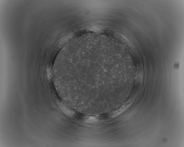 X0000097290285200803141517