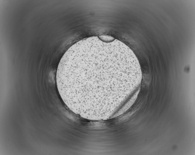 X0000097290286200803141517