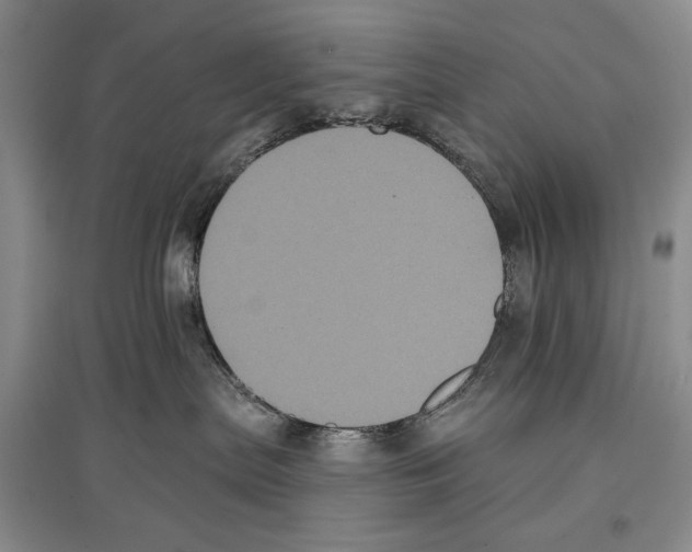 X0000097290287200803141517
