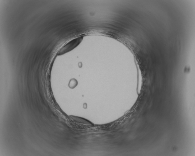 X0000097290289200803141516