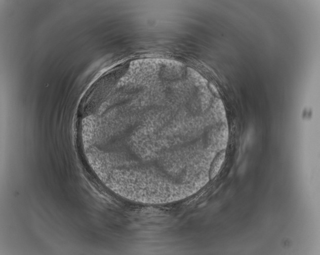 X0000097290290200803141516