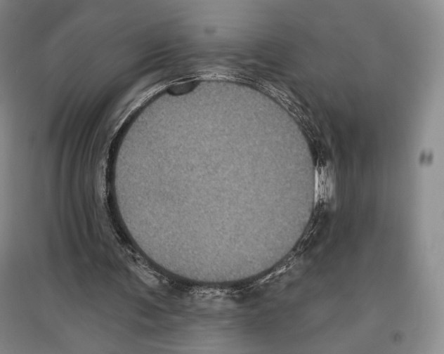 X0000097290291200803141516