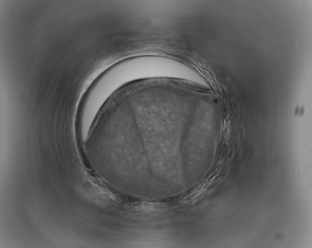 X0000097290292200803141516