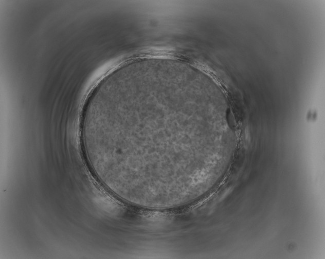 X0000097290293200803141516