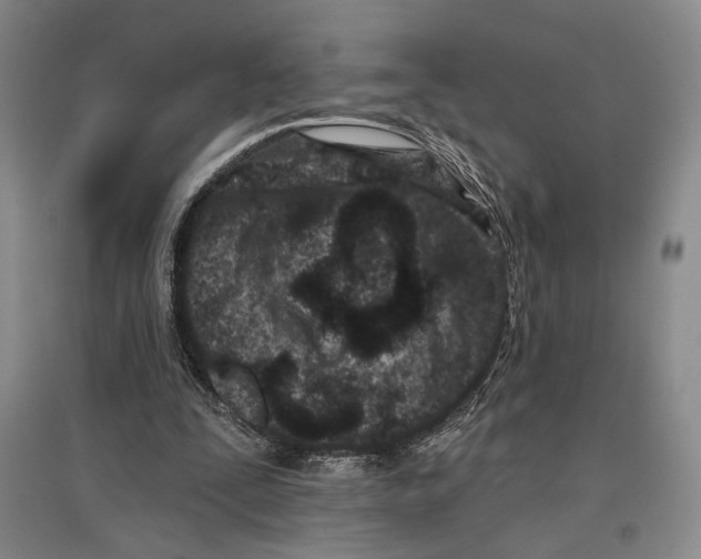 X0000097290295200803141516