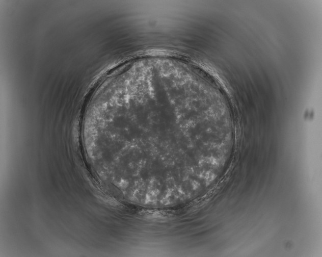 X0000097290297200803141516