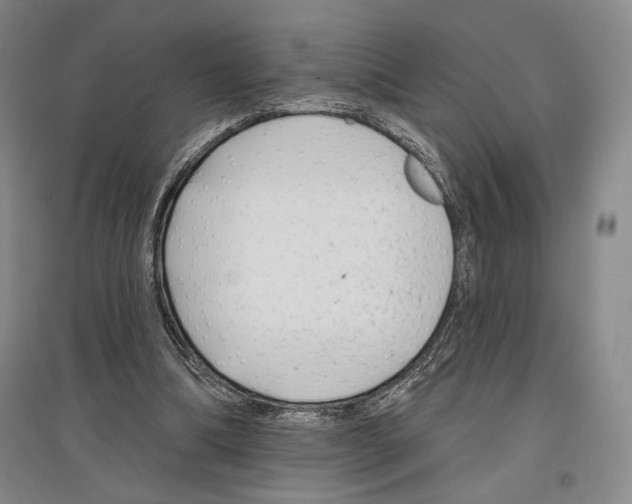 X0000097290298200803141516