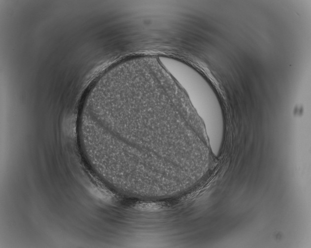 X0000097290299200803141516