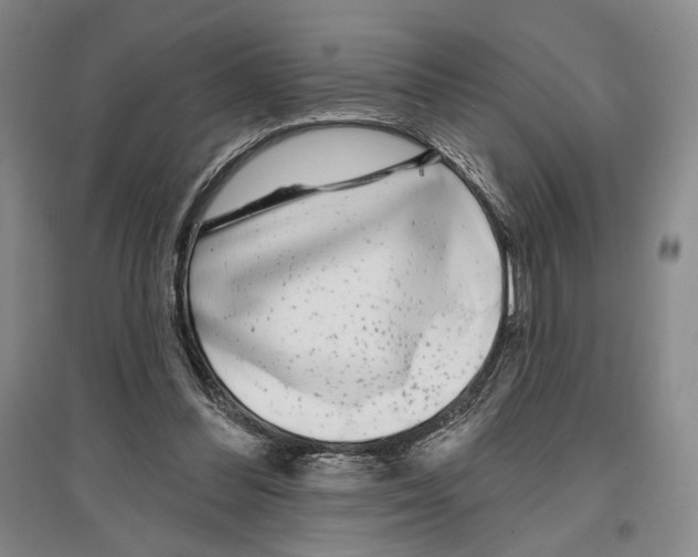 X0000097290300200803141516