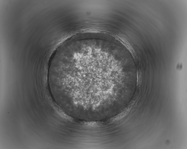 X0000097290301200803141516