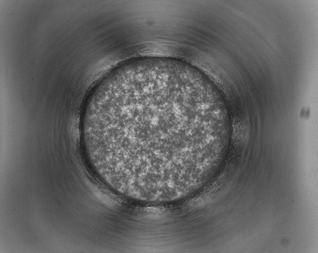 X0000097290302200803141516