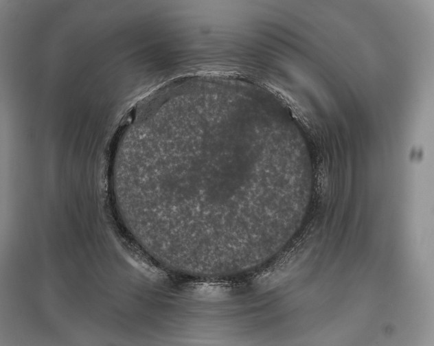 X0000097290303200803141516