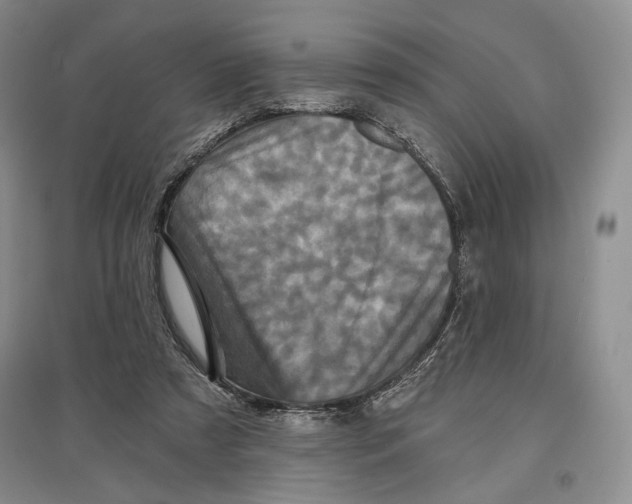 X0000097290305200803141516