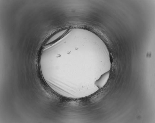 X0000097290306200803141516