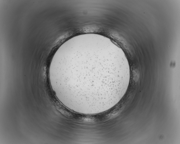 X0000097290308200803141516