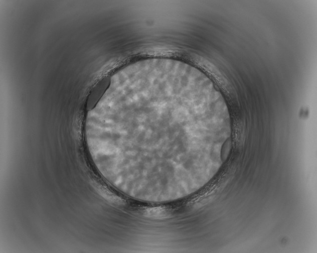 X0000097290309200803141516