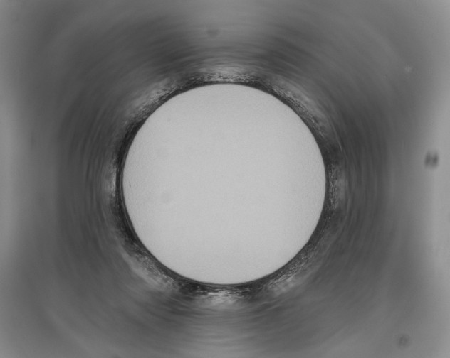 X0000097290310200803141516