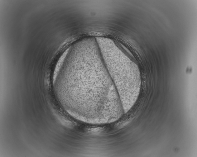 X0000097290312200803141516